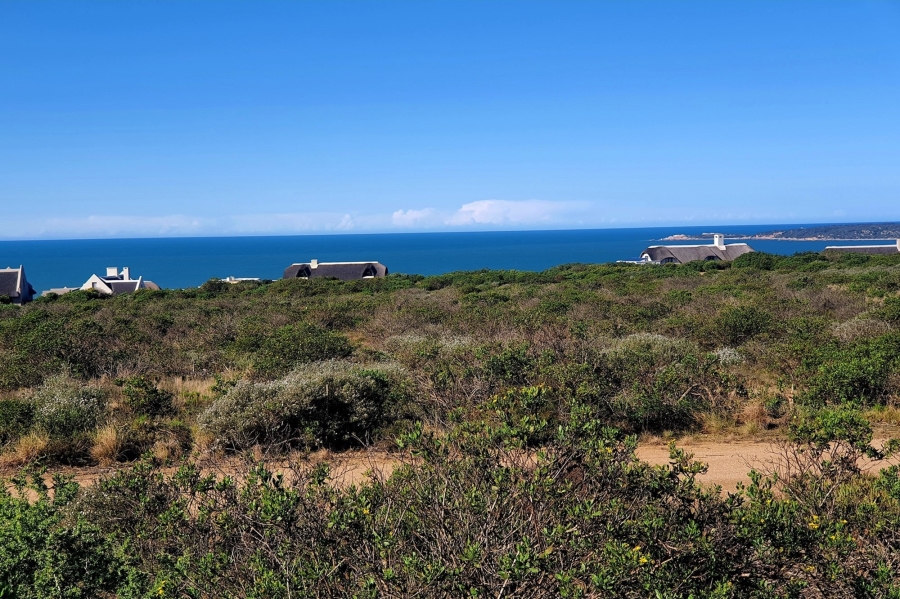 0 Bedroom Property for Sale in Springerbaai Eco Estate Western Cape